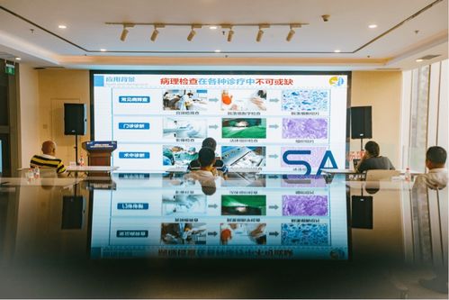 數字經濟產業賦能 場景匯路演聚焦人工智能雙創服務與智慧教育新機遇